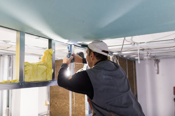 Best Attic Insulation Installation  in New Madison, OH
